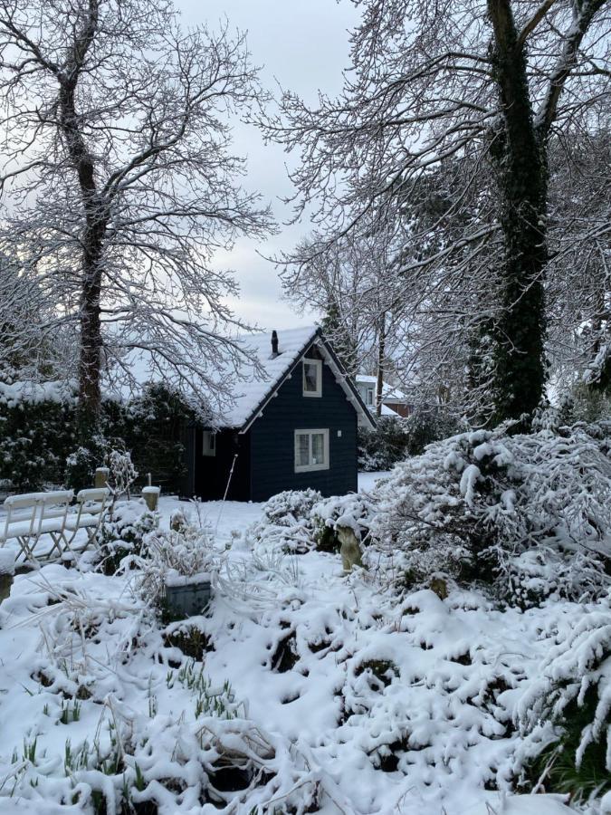 Garden Find Zandvoort Bentveld Eksteriør bilde